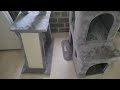 Globlazer Cat Tower for Indoor Adult Cats, 50-inch Heavy Duty Cat Tree for Big Cats