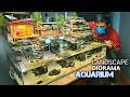 I Turned A Broken Aquarium into A Waterfall Diorama Aquarium (Made Aquarium Decorations)