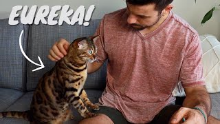 Taught My Cat to Cuddle - Easy Trick! by Albert & Mia, the Adventure Bengal Cat 22,227 views 7 months ago 4 minutes, 51 seconds