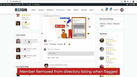BuddyPress Moderation Pro BuddyBoss Platform Compatibility Flag and block rude or unwanted Activity