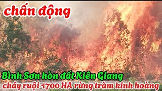 cháy lớn 304 kinh hoàng hàng nghìn ha rừng tràm bình sơn hòn đất Kiên Giang thất thủ