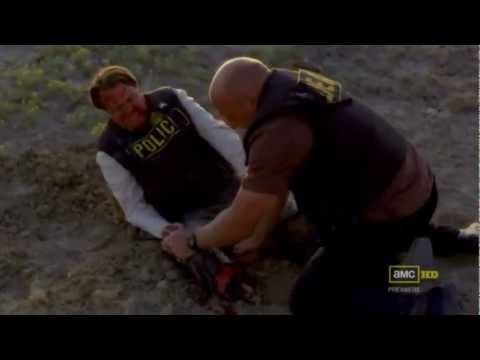 Breaking Bad Turtle Boom