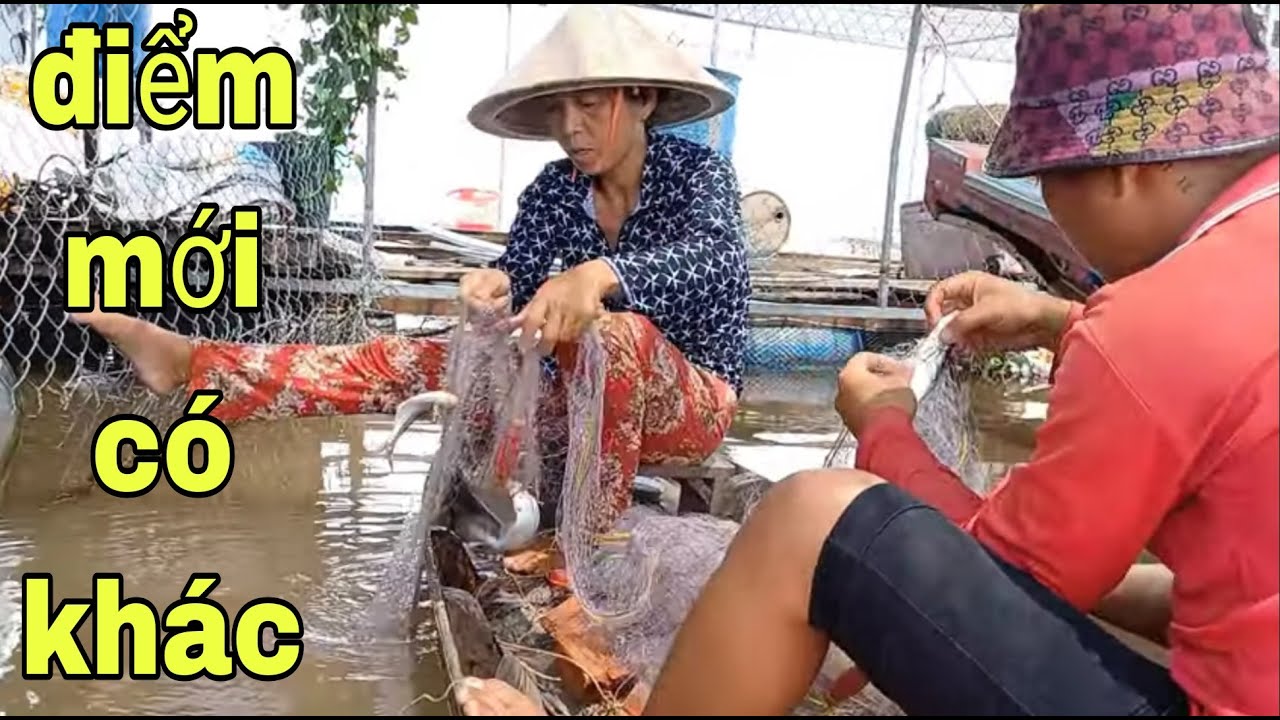 Nhà Rách Khách Tới Hoài , Khúc Lưới Rách Mà Cá Dính Mê Ly Luôn # SĂN ...