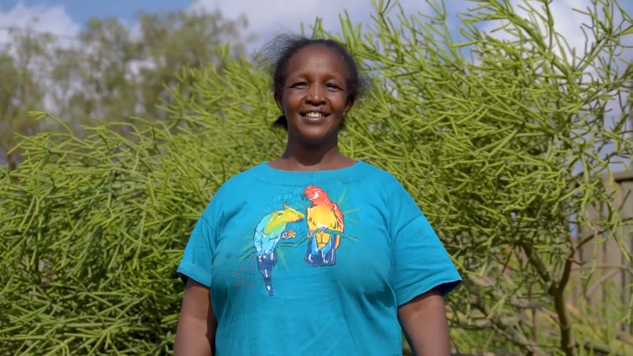 Leuria Zakayo -maapetin Zion (official video)