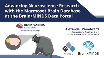 Advancing Neuroscience Research with the Marmoset Brain Database at the Brain/MINDS Data Portal