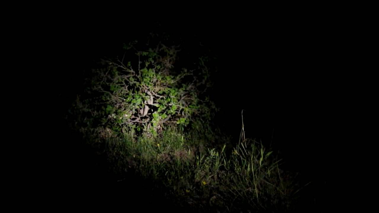 Tru-Spec TRU Multicam Test Phase 3 - YouTube