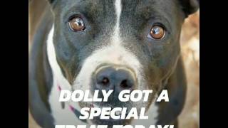 Dolly's Big Surprise!