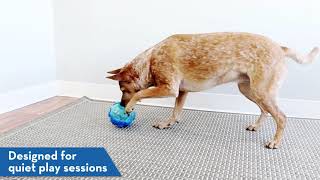 kong rewards ball dog toy