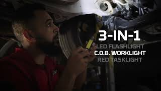 Big Larry™ - 600 Lumen Flashlight with COB Worklight Alkaline (16x9)