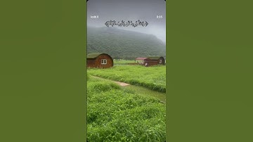 سبحان الله وبحمده سبحان الله العظيم #القرآن_الكريم #آيات #اكتب_شي_تؤجر_عليه #ارح_سمعك