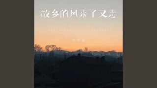 故乡的风来了又走