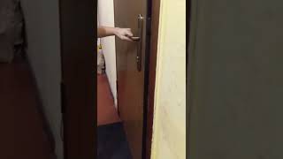 Увага повітряна тривога .Всі в укриття. Кіт теж.  Attention, air raid alert. Everyone take cover.