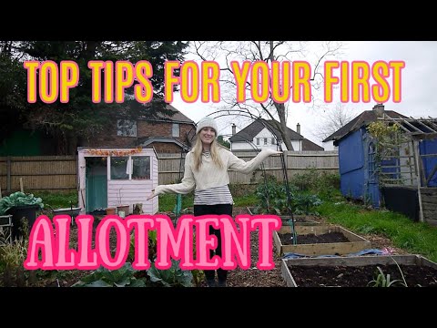 TOP TIPS FOR YOUR FIRST ALLOTMENT PLOT