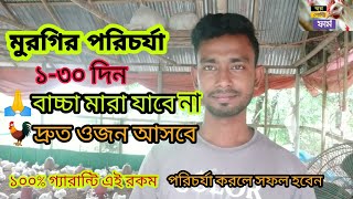 মুরগির পরিচর্যা ১-৩০দিন।মুরগির দ্রুত ওজন বাড়বে এবং মুরগি মারা যাবে না। @deshikhamari9424