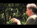 Ideas For Around Trees