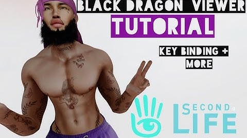 Black Dragon Viewer Tutorial [Key Binding + More] 💭
