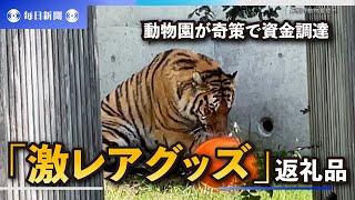 ファン必見の「激レアグッズ」が返礼品　動物園が奇策で資金調達