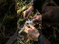Desert to Delta: Real World Survival Techniques Unpacked