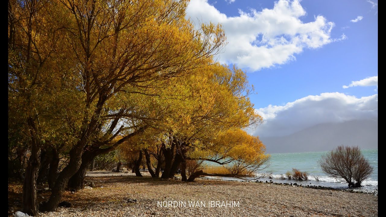 Sabda Alam = Bossa Nova Karaoke