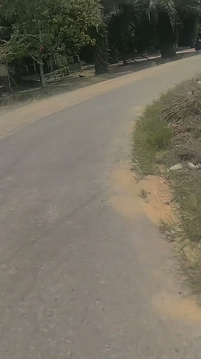 TRENDING DJ KANE VIRAL DITIKTOK VERSI CINEMATIC AESTHETIC AM 2023