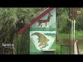 Fait du jour/Gatumba: le parc et les habitations environnantes menacés par la Rusizi