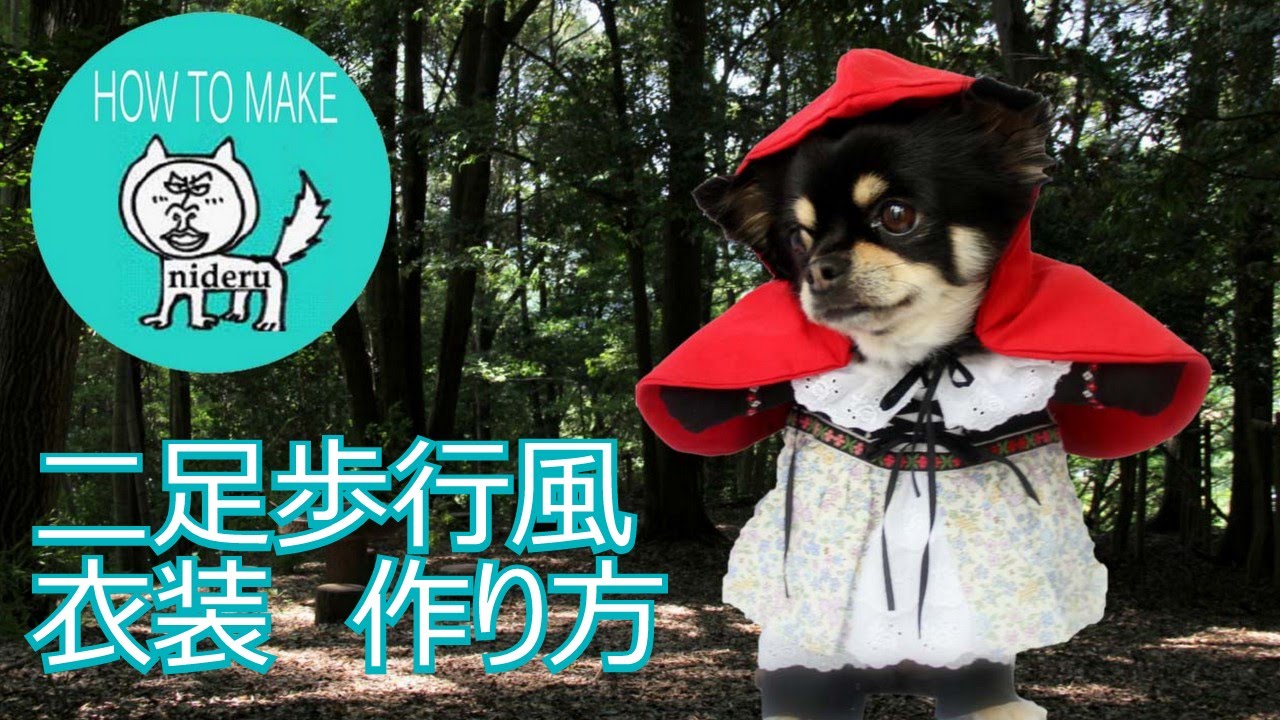 犬 用の 二足歩行 風 コスプレ 撮影 あかずきん 衣装 作り方 Nideru How To Make Dog Cosplay Costume Youtube