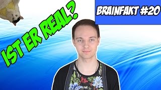 Special Das Wahre Ich Von Sinsin Brainfakt