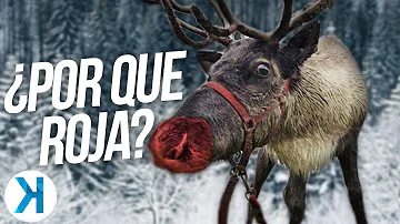 ¿Por qué Rudolph tiene la nariz roja?