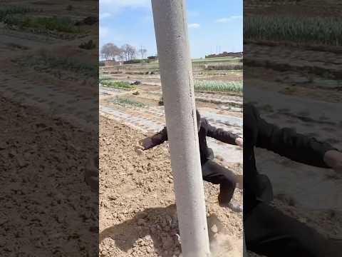 tưởng cảm động ai dè cảm lạnh #xuhuongyoutube