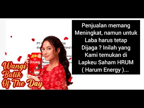 Inilah isi Laporan keuangan kuartal 3 2024 Saham HRUM ( Harum ) #ihsg #investasi lo kheng hong value