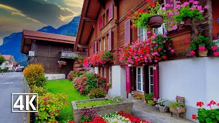 Wilderswill Switzerland  a beautiful village in the Bernese Oberland
