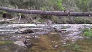Chattooga river at Burrells Ford