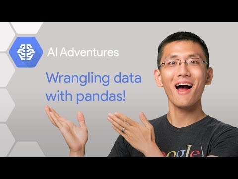 Image from Wrangling Data with Pandas (AI Adventures)