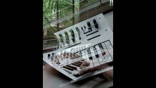 Maiden Voyage Synthified