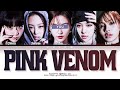 Karaoke blackpink pink venom color coded haning 5 members