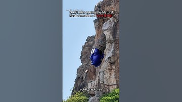 Balaji face on hill , Venkateshwara face on hill #tirupati #ytshorts #shorts