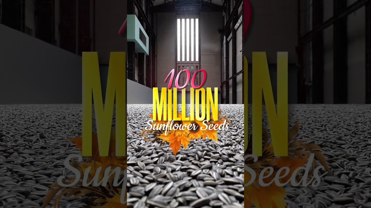 100 Million Sunflower Seeds exhibition by Ai Wei Wei