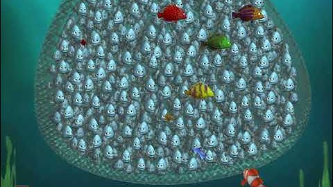 Finding Nemo | Part 3