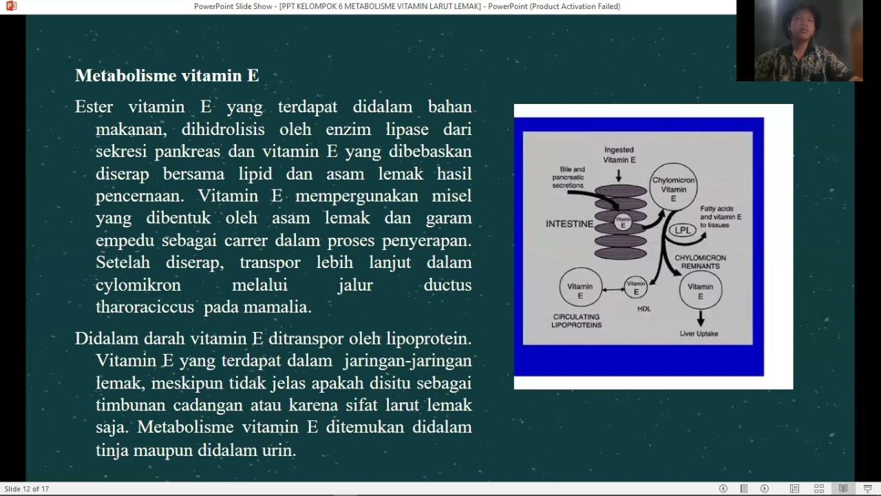 Kelompok 6 Metabolisme Vitamin Larut Lemak (A,D,E,K) YouTube