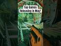 May Game Releases! #games #gaming