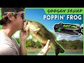 Topwater Popping Frog 101 with LakeForkGuy! | Googan Squad Poppin' Filthy Frog Breakdown