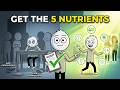 The Friendship Audit: 5 Nutrients Your Social Circle Is Missing