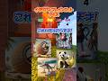【全部見えたら天才】一瞬だけ見えたイタリアンブレインロットは? #vtuber #shorts #イタリアンブレインロット #italianbrainrot