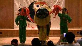 Asian Festival 2015 -  Lion Dance (China)