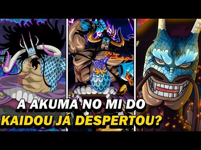 O Despertar da Akuma no Mi de Kaido, Explicado - AnimeBox