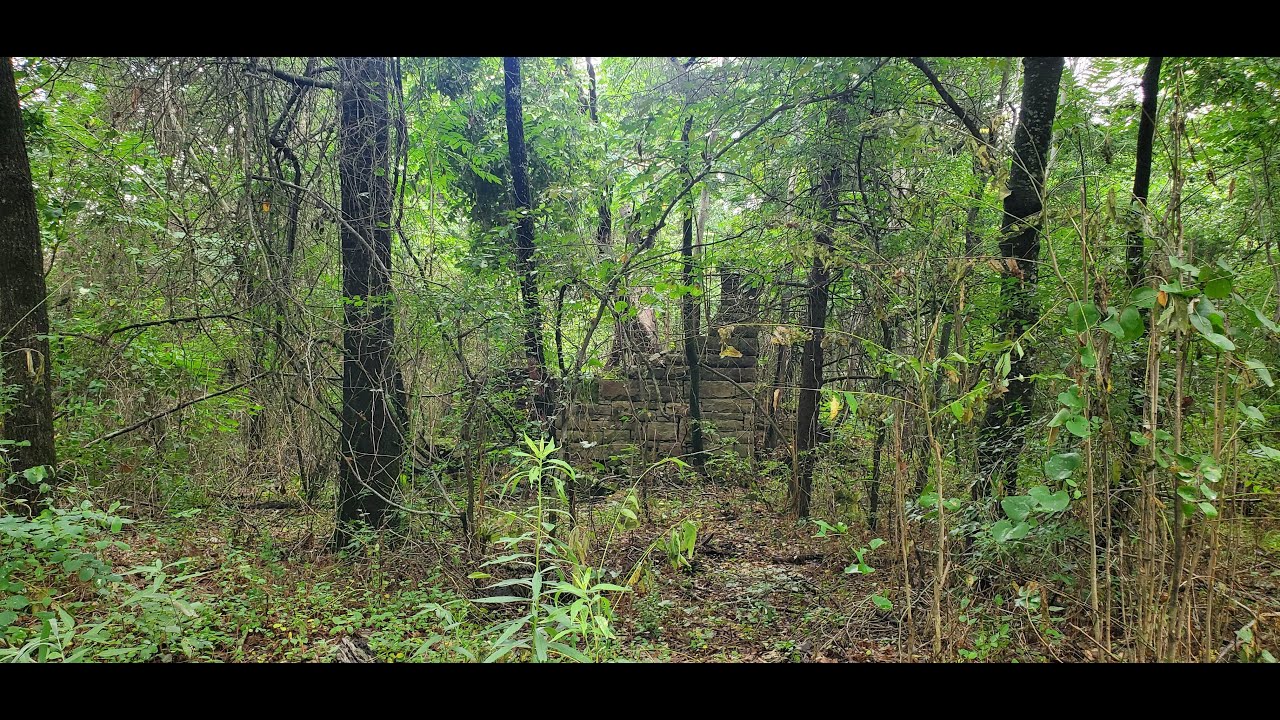 DJ Wardove - RENDEX (Instrumental) 