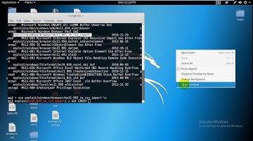 HW3-LAB4-Exploiting Client-Side Vulnerabilities and Establishing a VNC Session