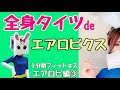 １分間フィットネス･エアロビ編･最終回【長野県信州佐久市のゆるキャラご当地キャラハイぶりっ子ちゃん】