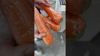 Shrink Wrapping of Fruit and Vegetables