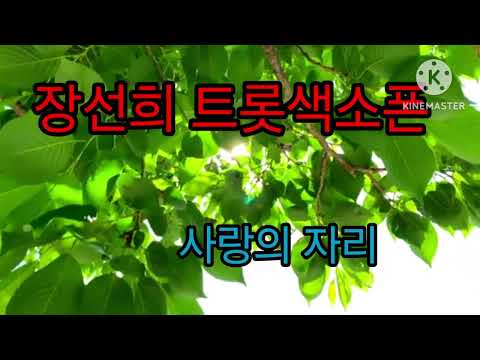 장선희색소폰~사랑의자리(<strong>염수연</strong>)